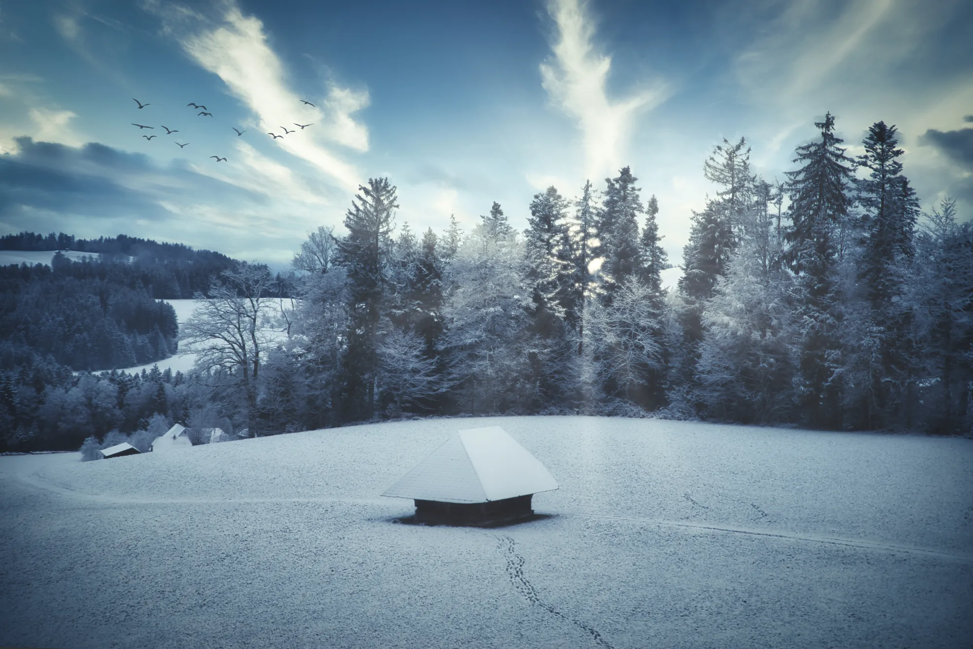 Blueberry Hill — FINAL