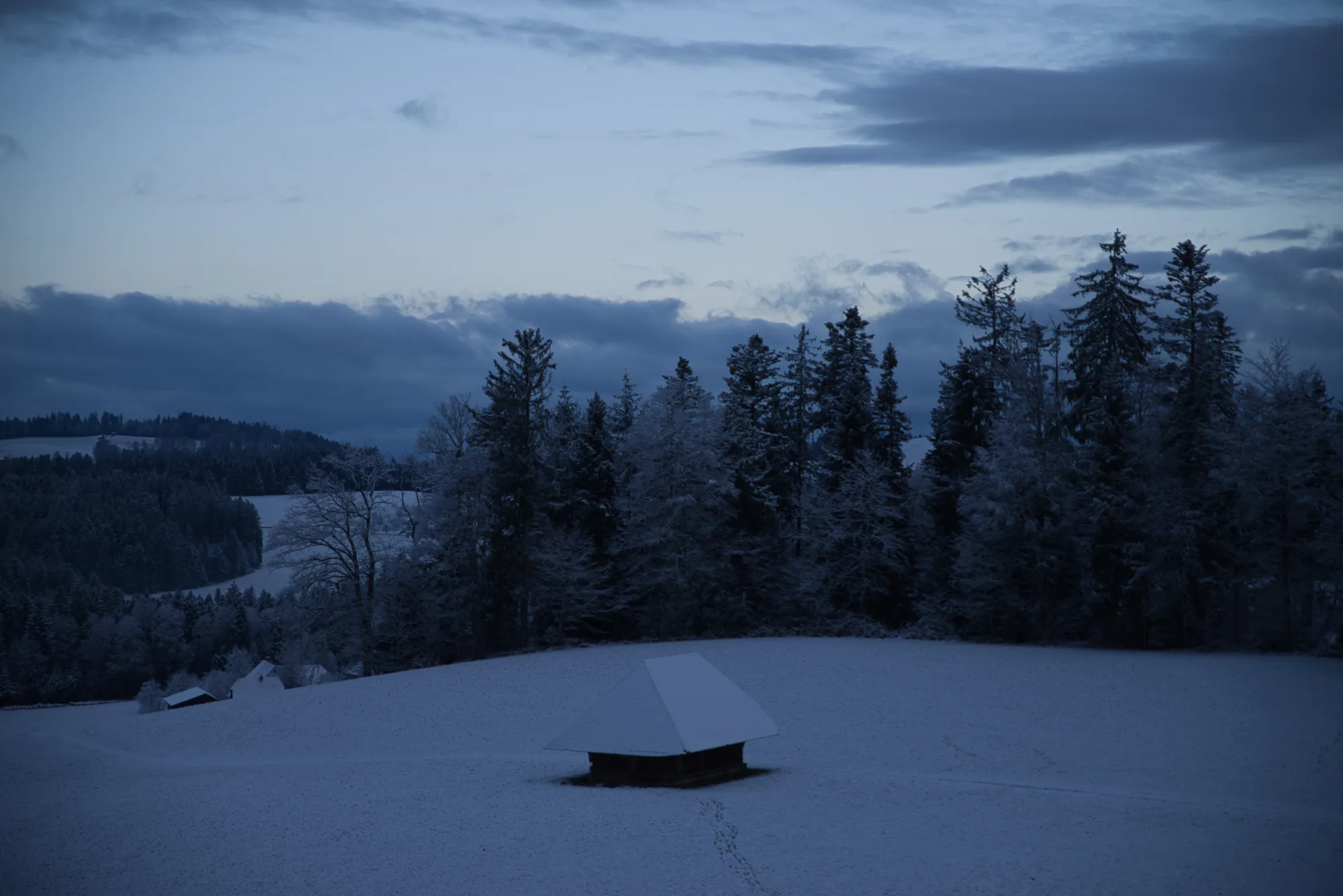 Blueberry Hill — RAW