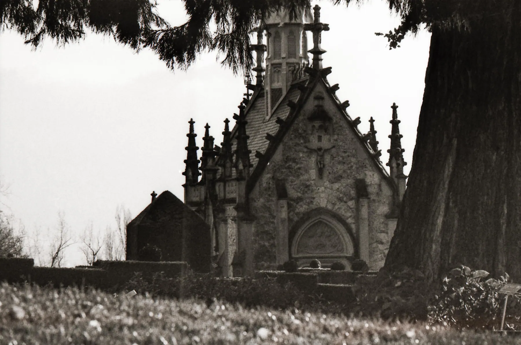 Analog photo 044