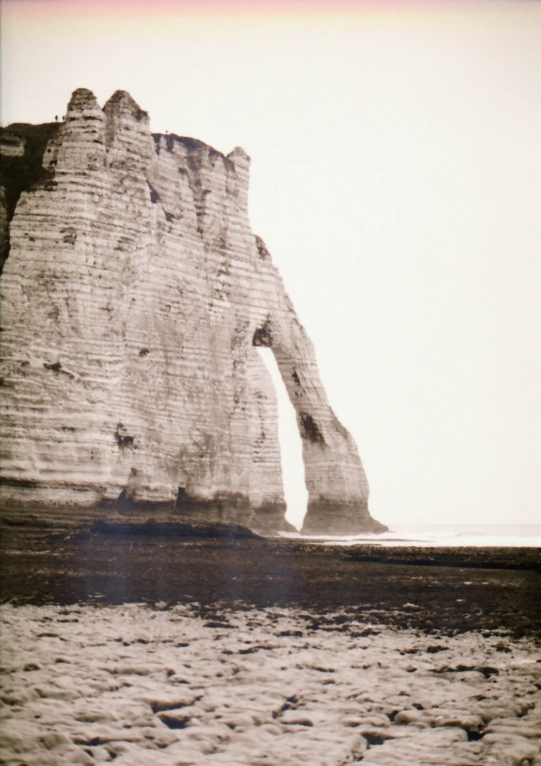 Analog photo 042