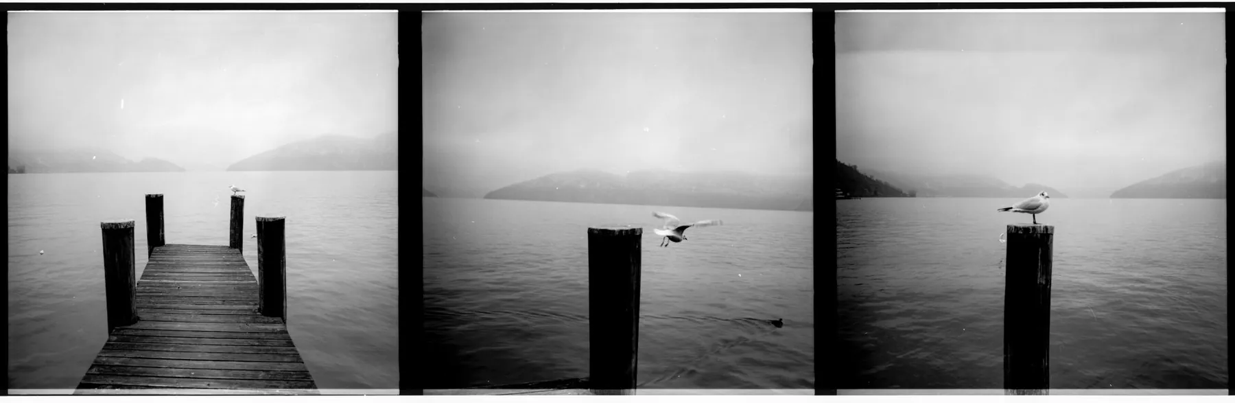 Analog photo 039