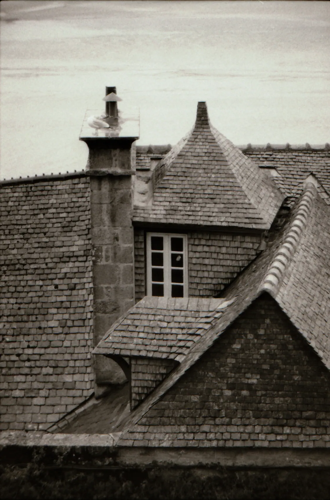 Analog photo 036