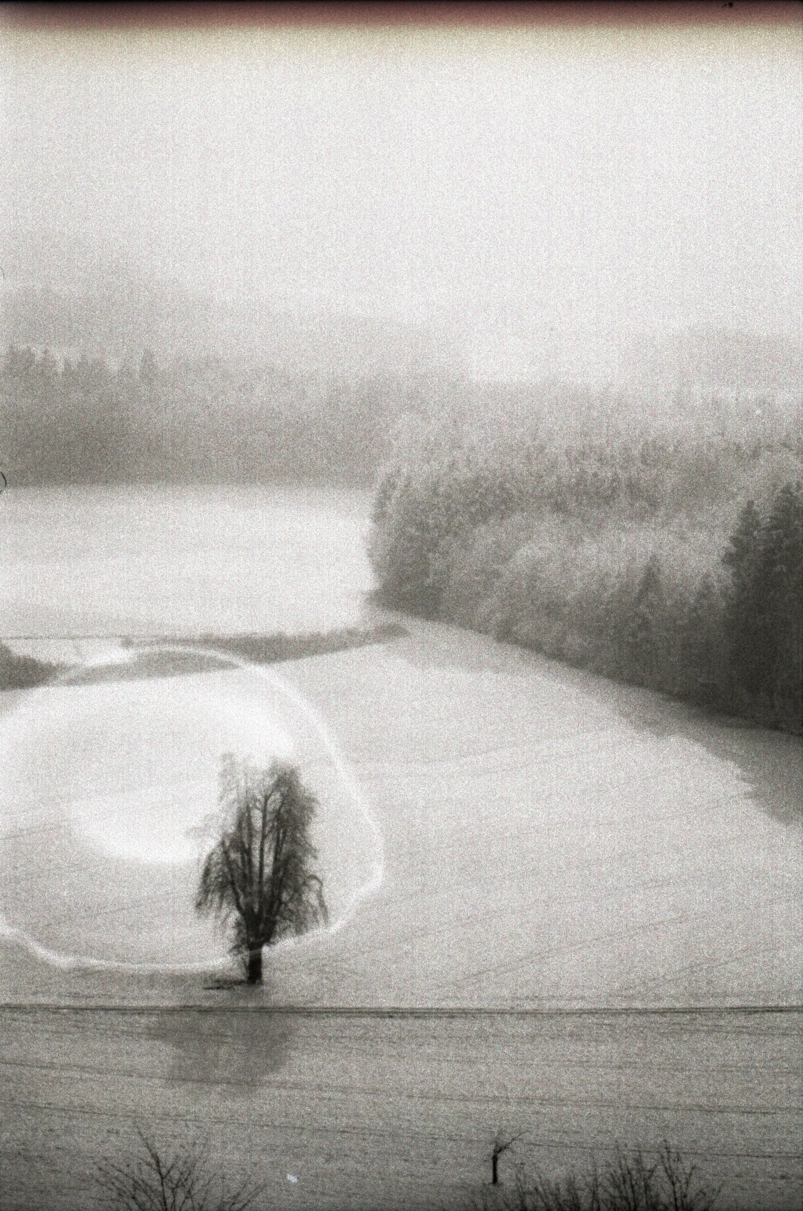 Analog photo 027