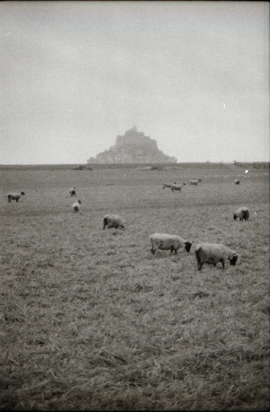 Analog photo 024
