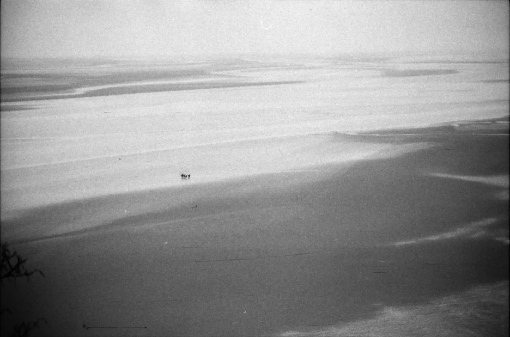 Analog photo 022