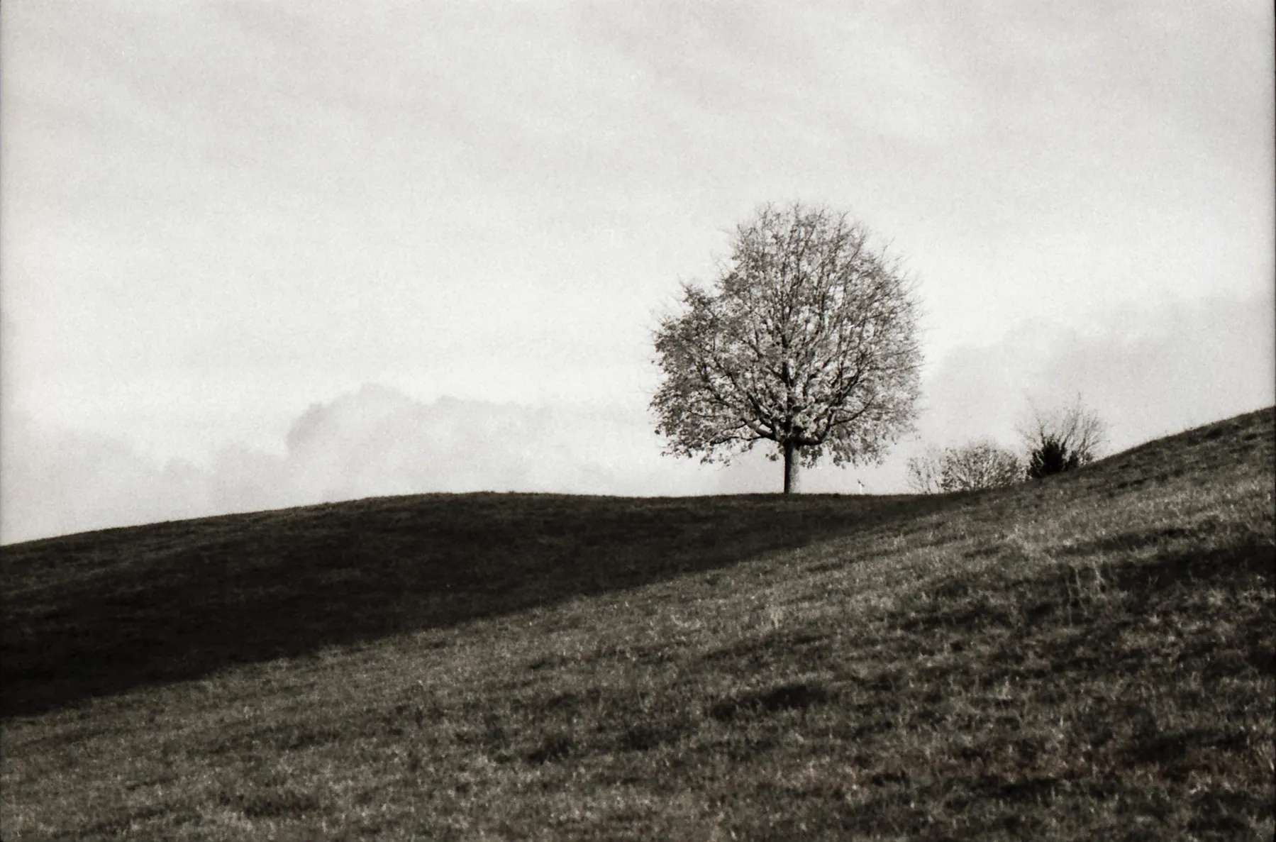 Analog photo 021