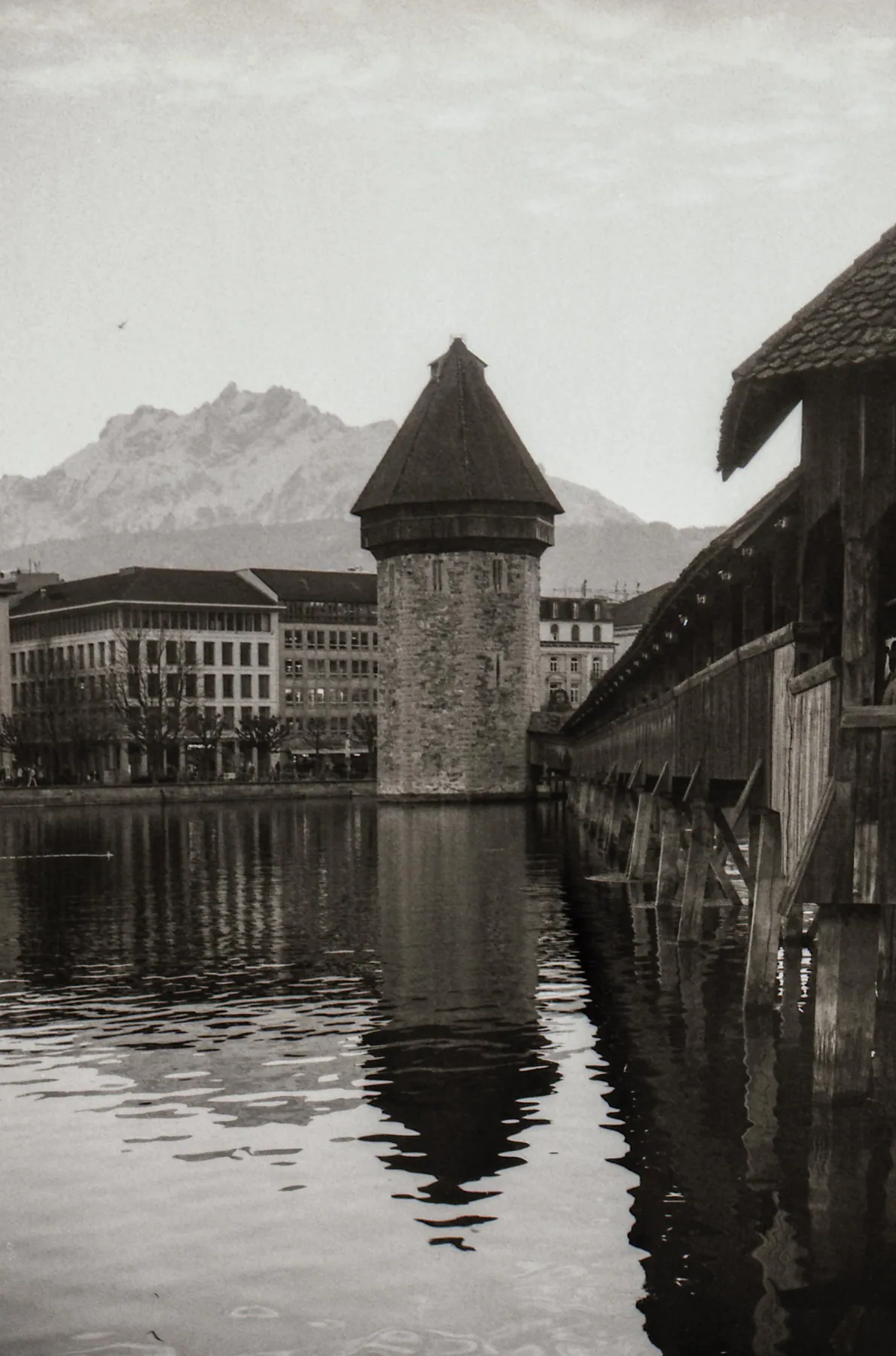 Analog photo 018