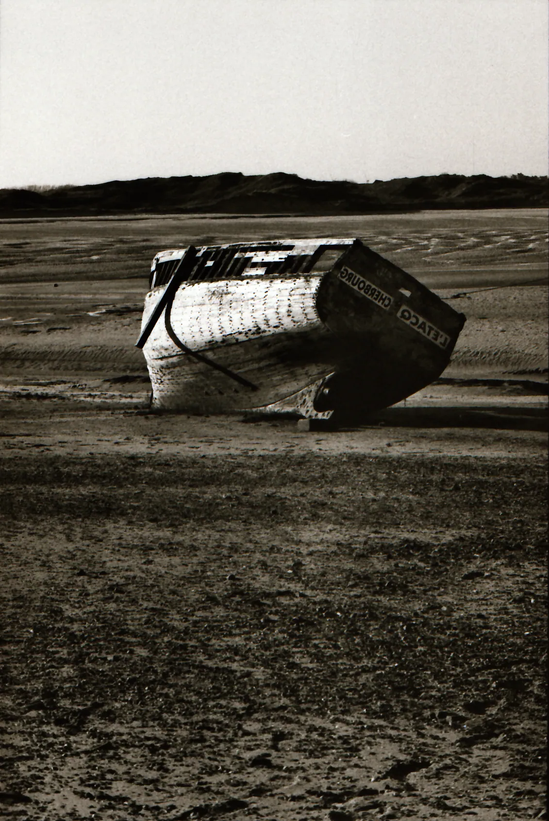 Analog photo 010