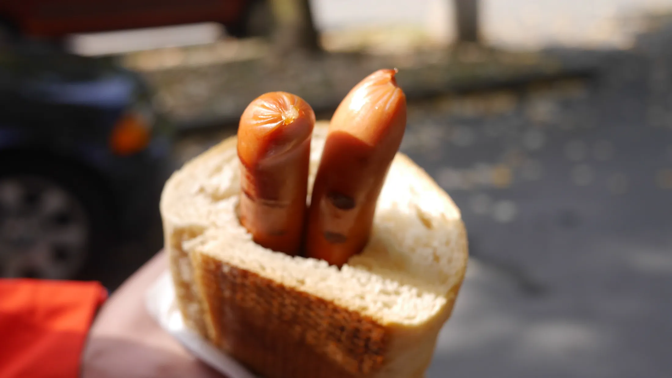 Food Journey photograph 453