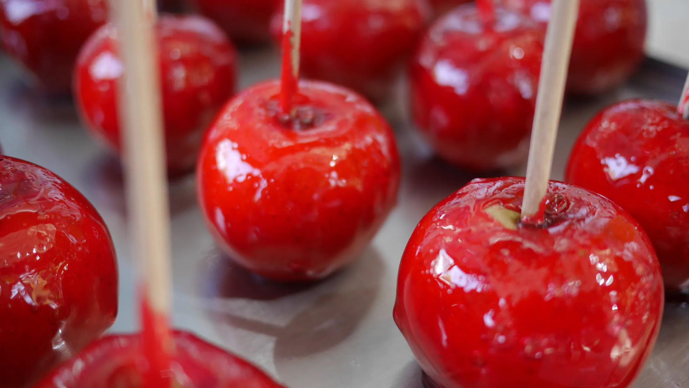 Food Journey photograph 451