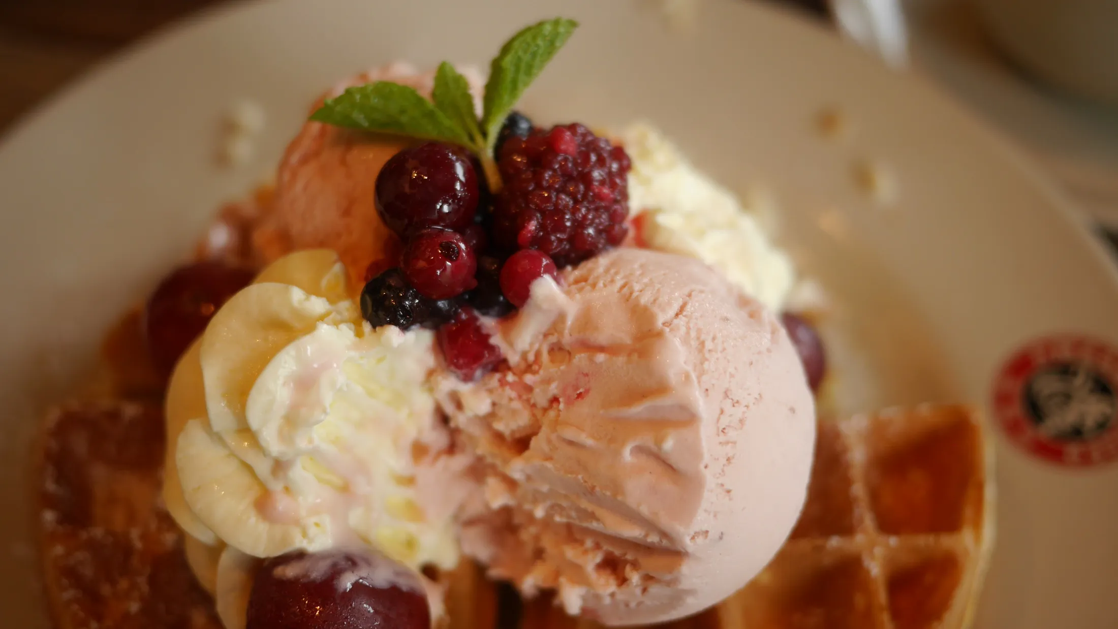 Food Journey photograph 445