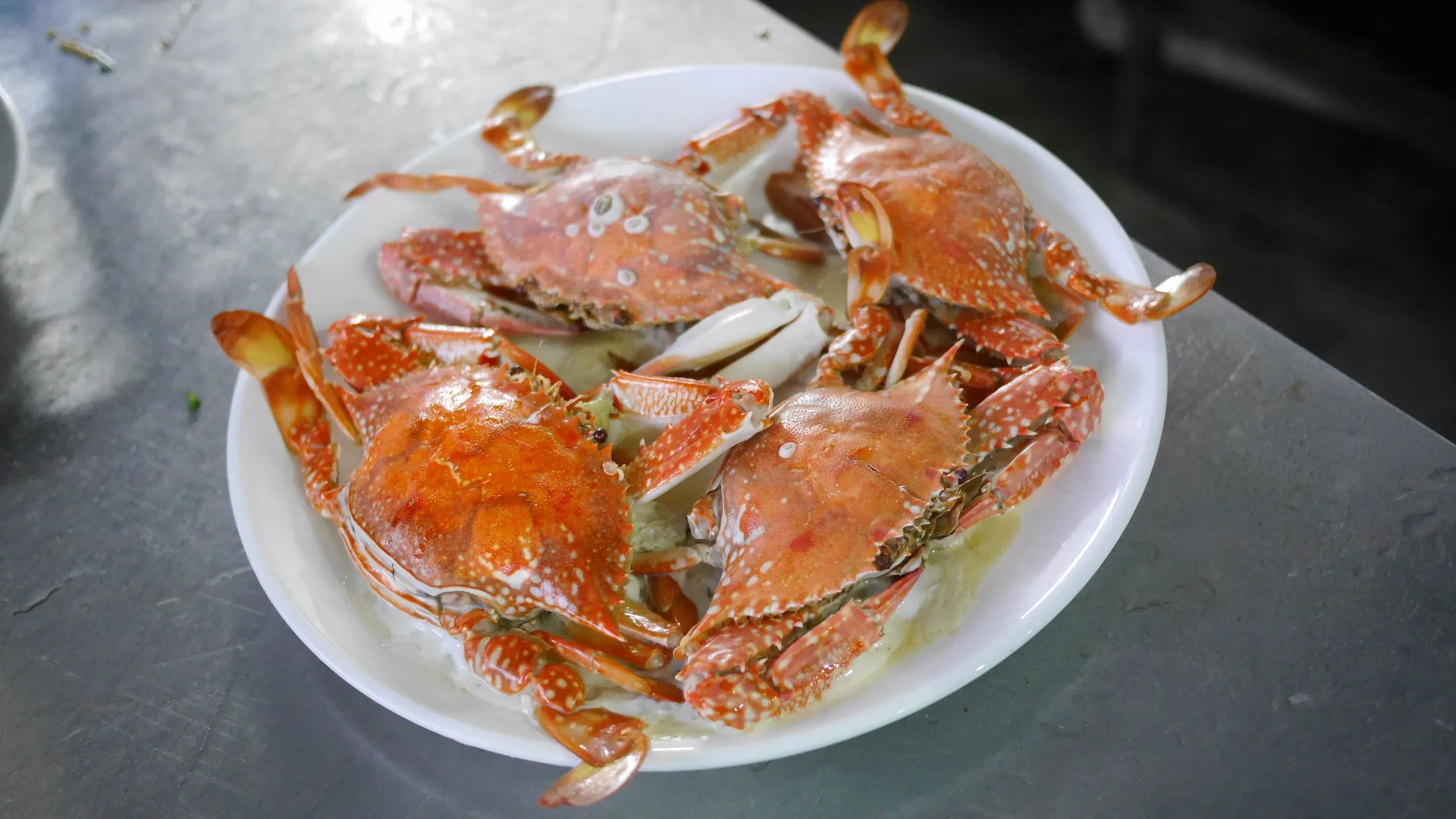 Food Journey photograph 370