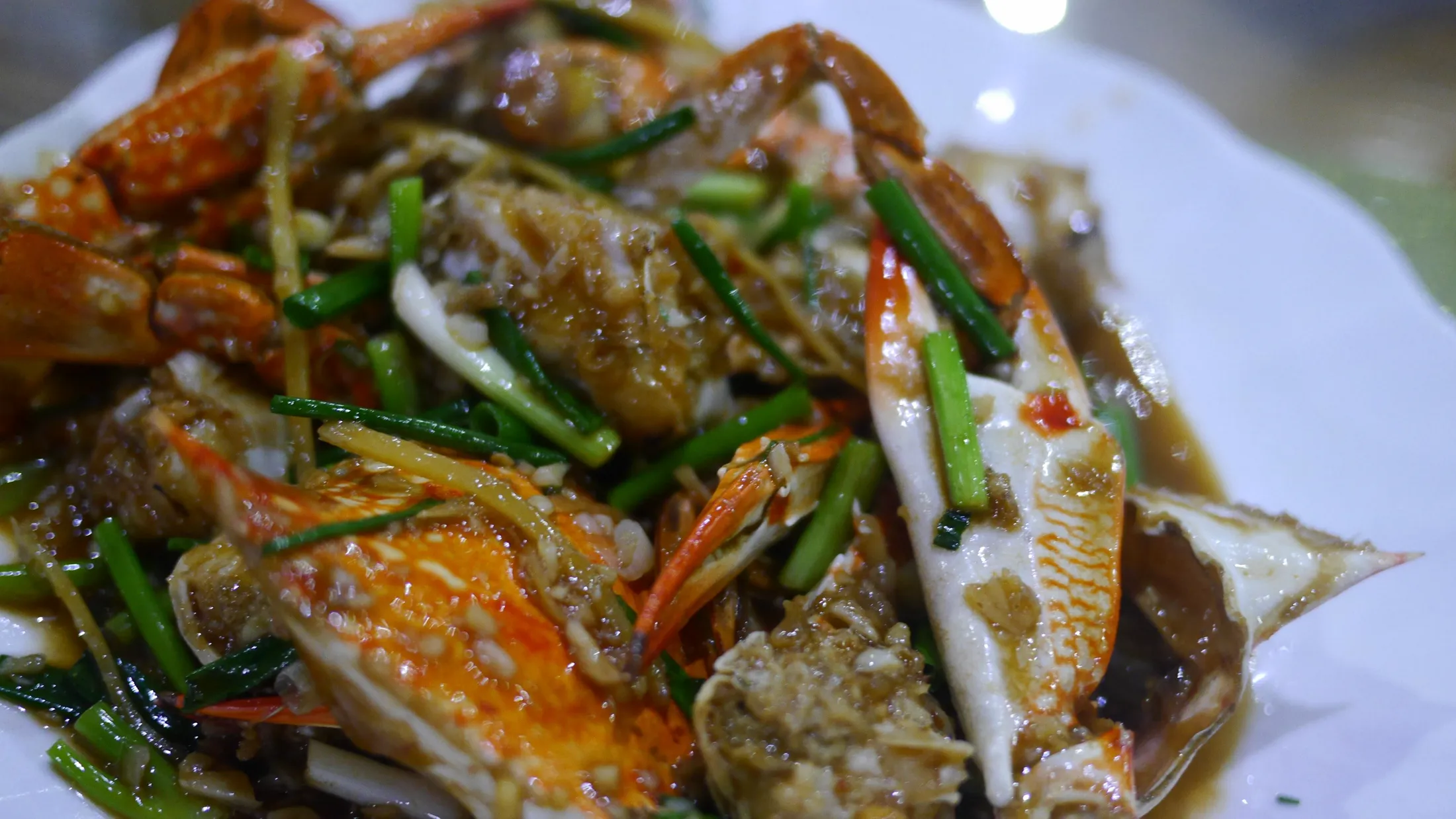 Food Journey photograph 366