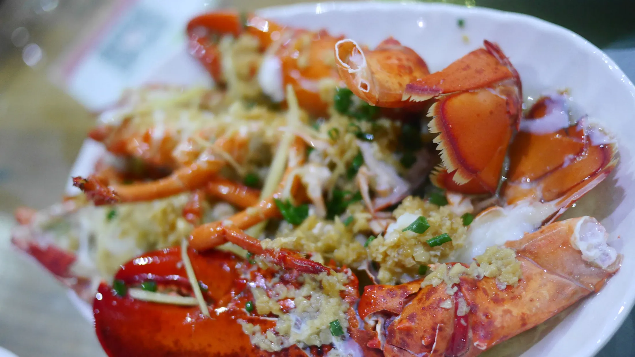 Food Journey photograph 365
