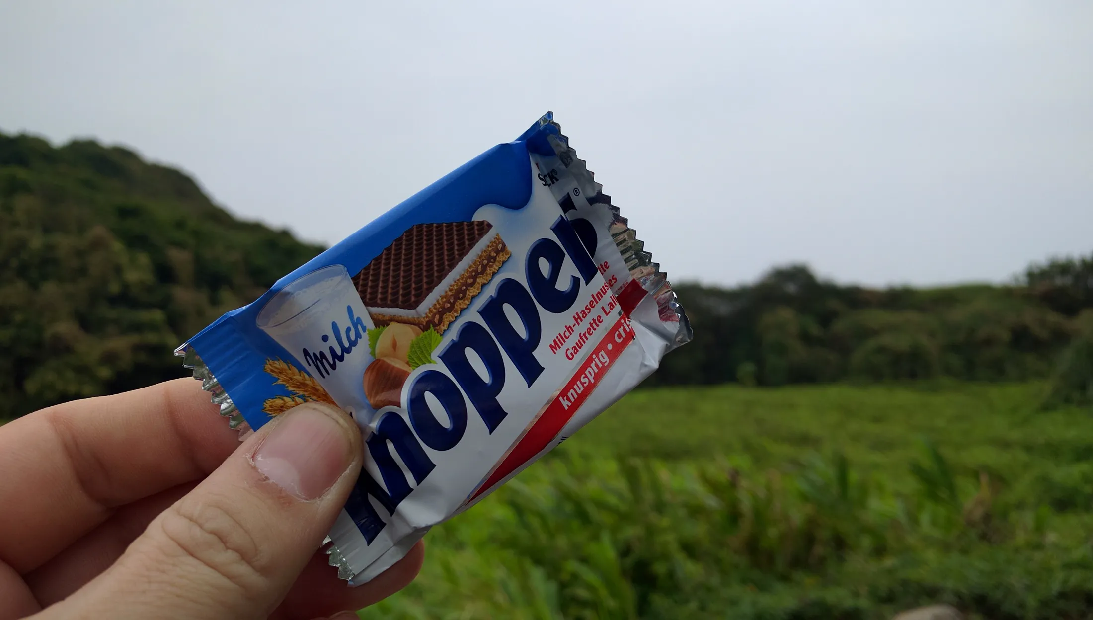 Food Journey photograph 311