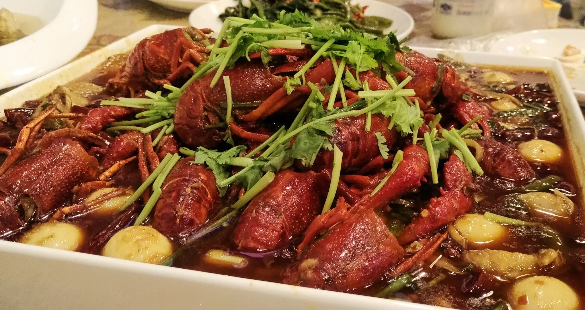 Food Journey photograph 231