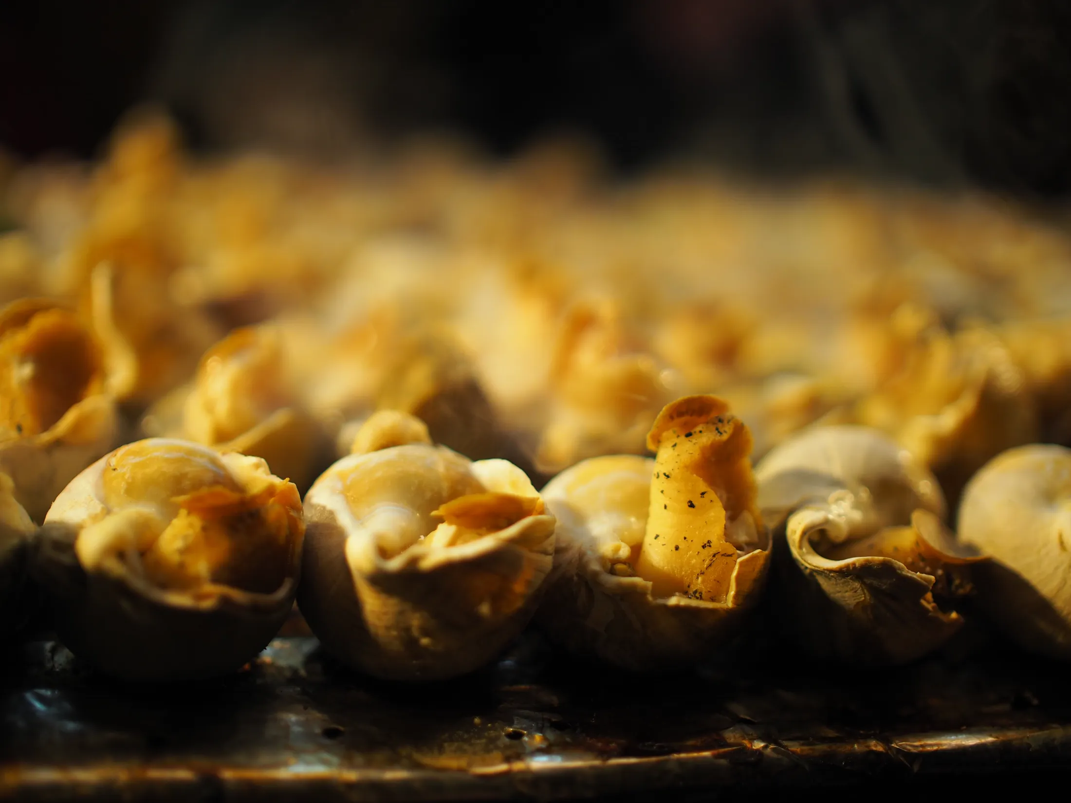 Food Journey photograph 228