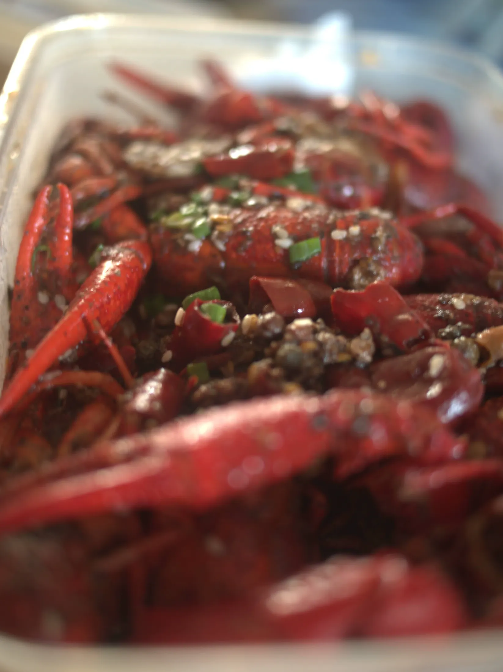 Food Journey photograph 220