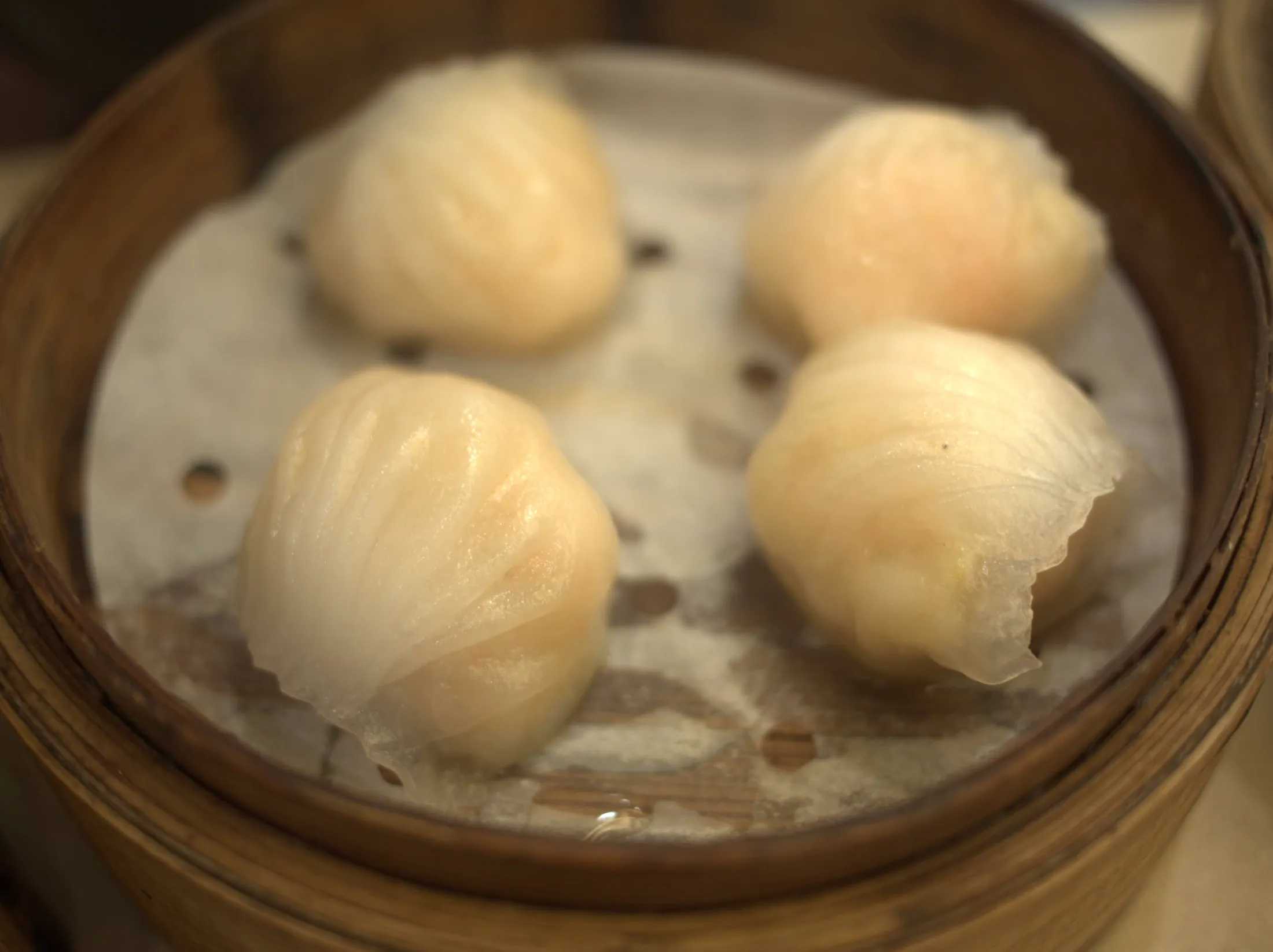 Food Journey photograph 214