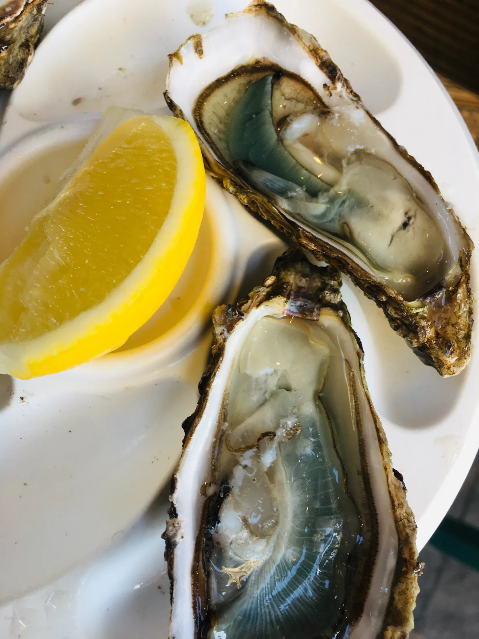 Food Journey photograph 157