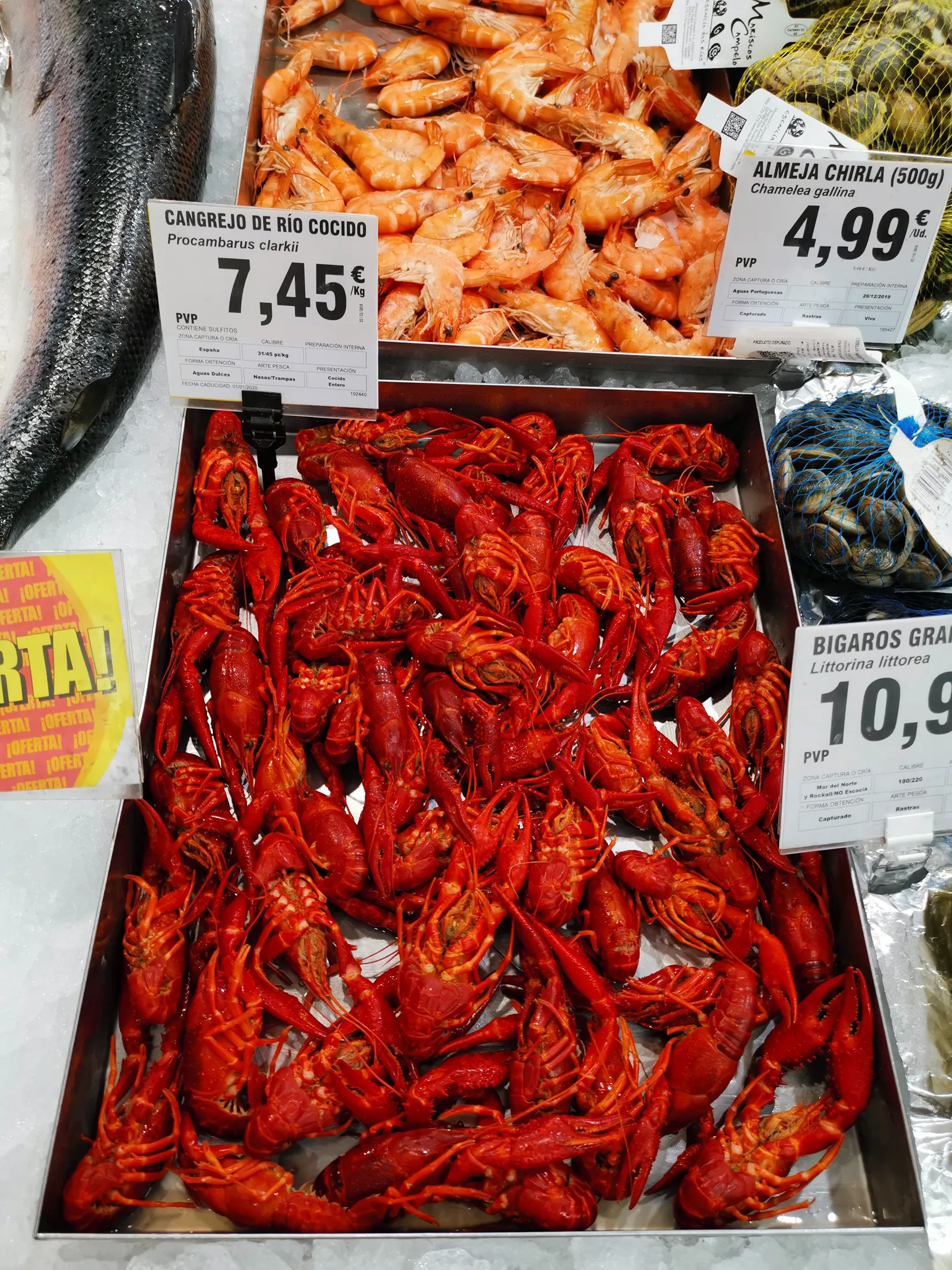 Food Journey photograph 156
