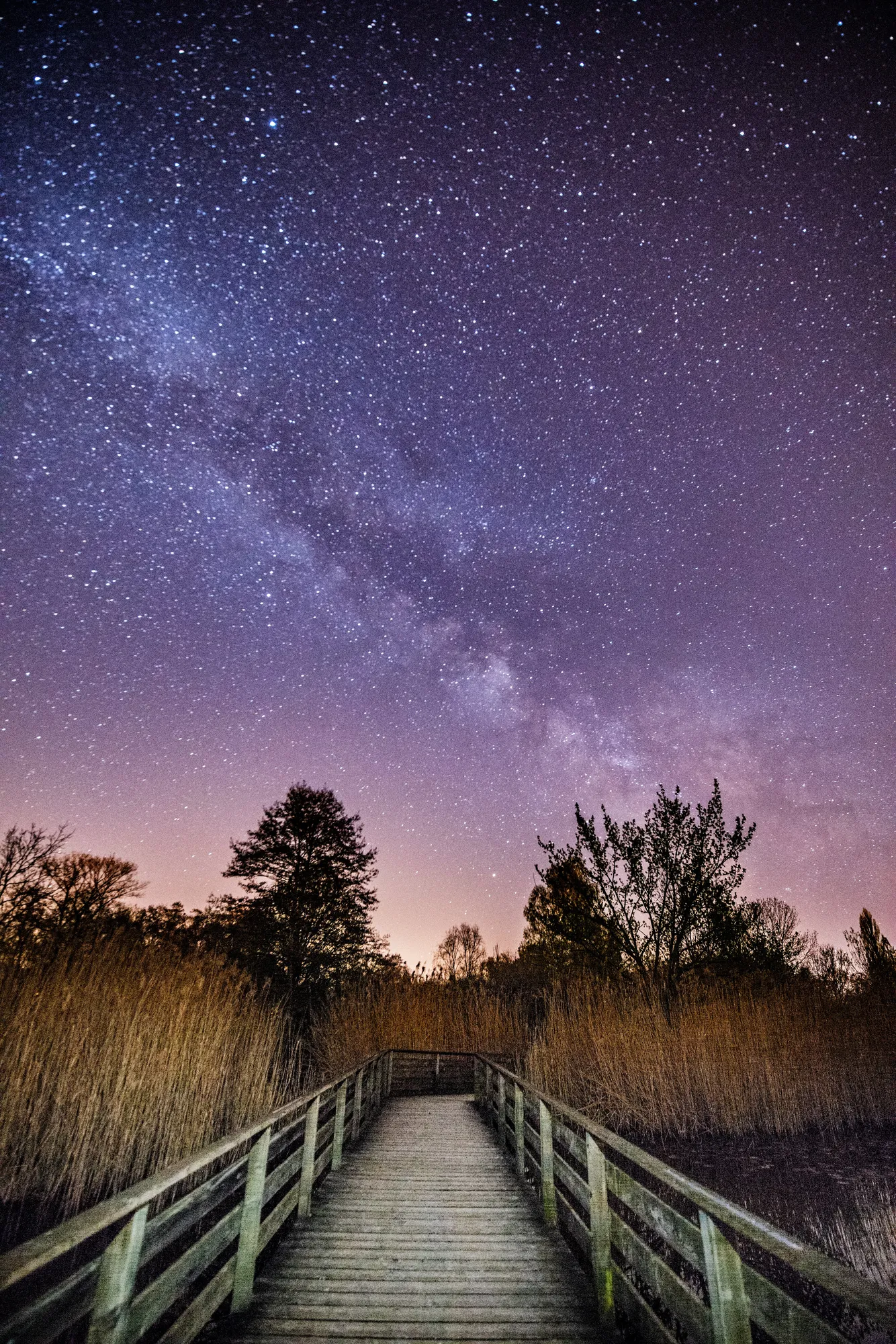 Milky Way photograph 10