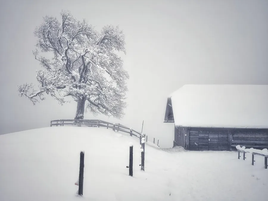 Switzerland snapshot 140