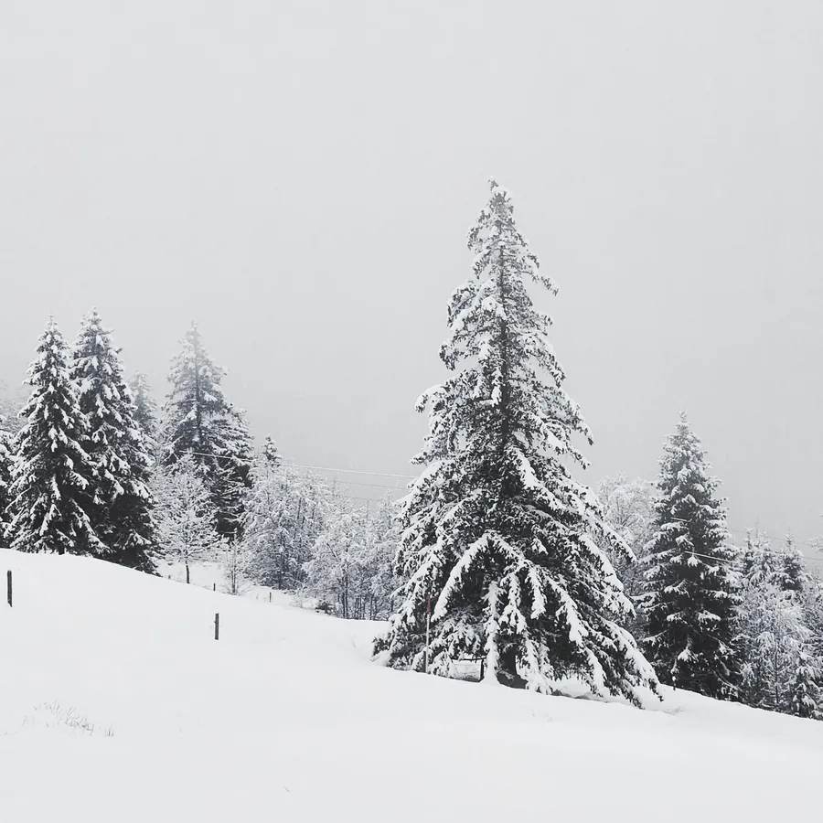 Switzerland snapshot 139