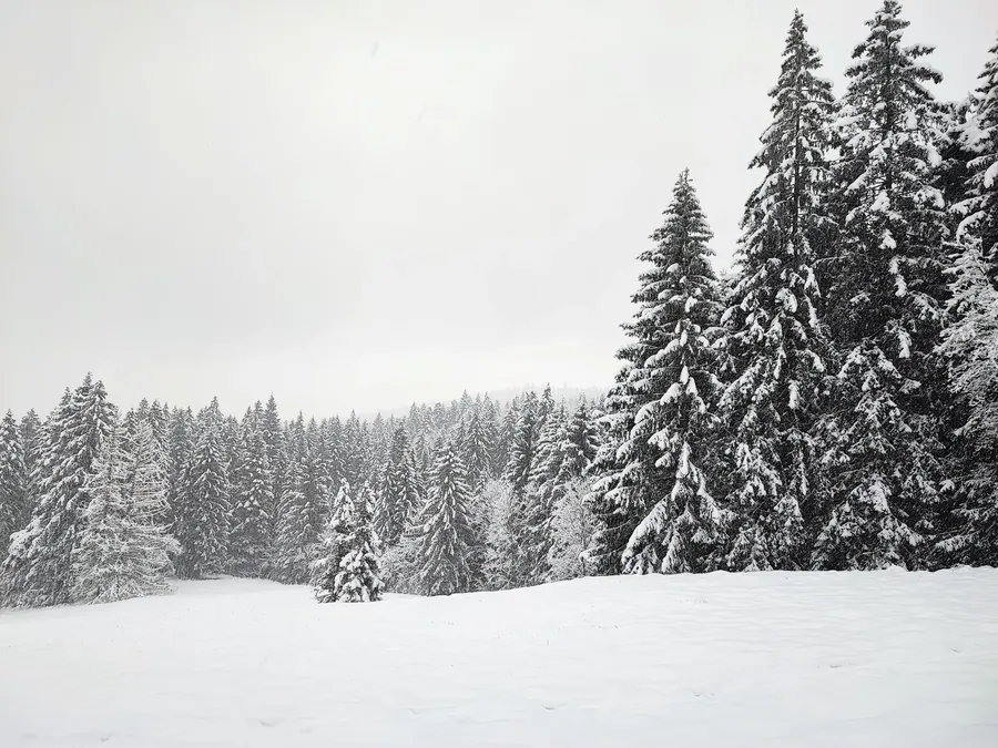 Switzerland snapshot 137