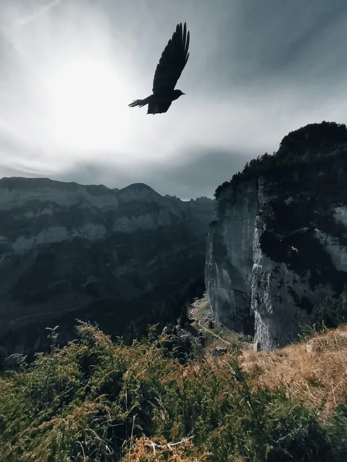 Switzerland snapshot 136