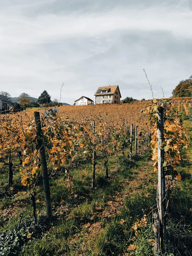 Switzerland snapshot 132