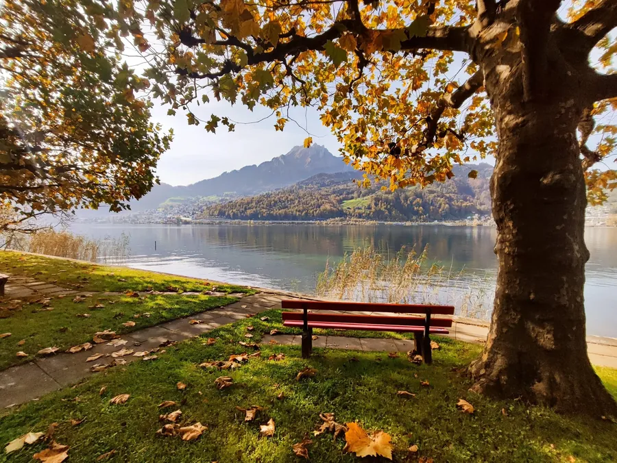 Switzerland snapshot 131