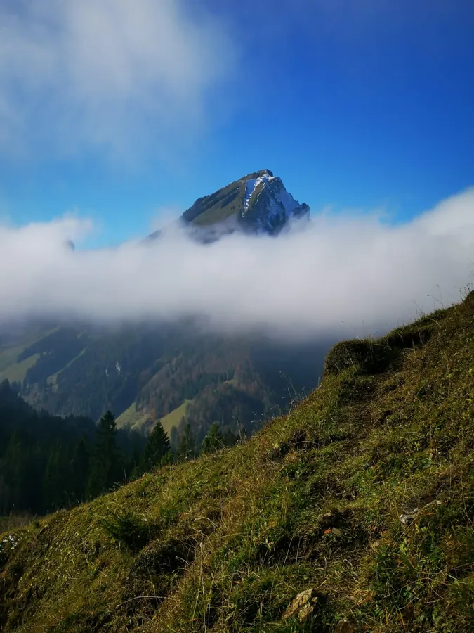 Switzerland snapshot 110