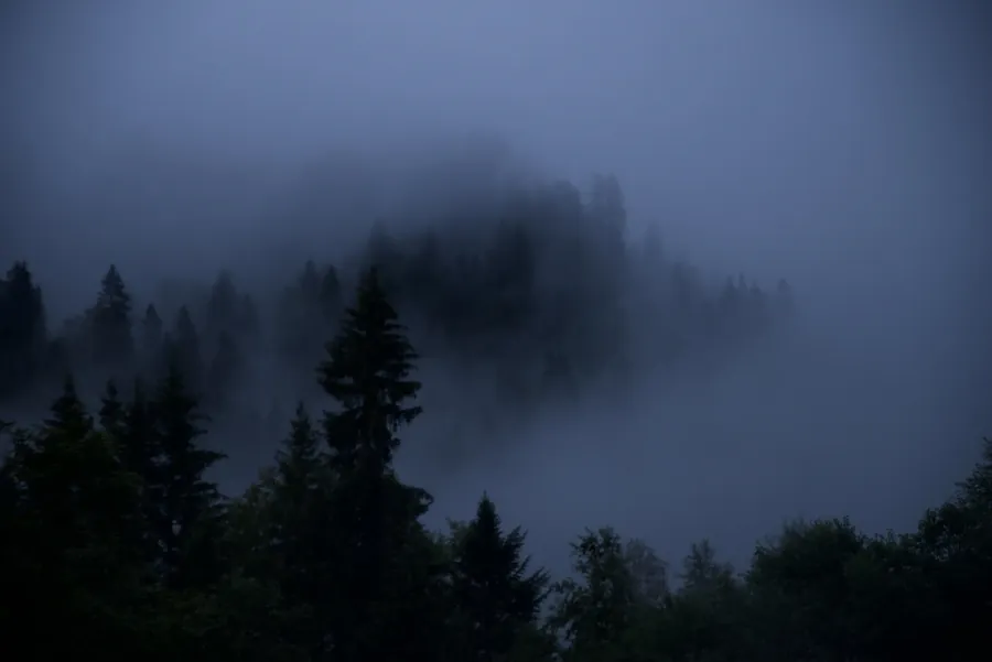 Switzerland snapshot 076