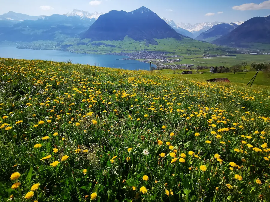 Switzerland snapshot 067