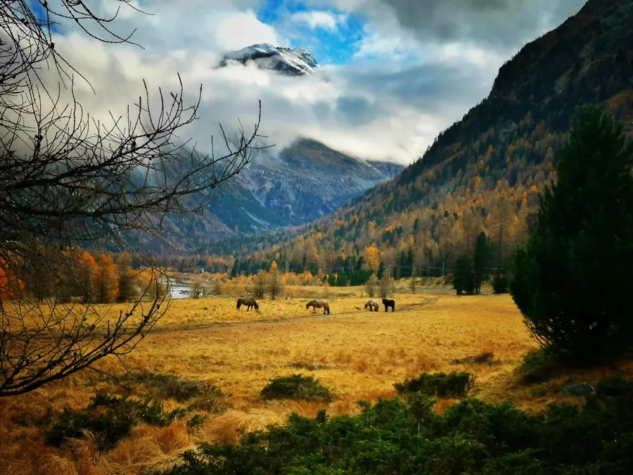 Switzerland snapshot 064