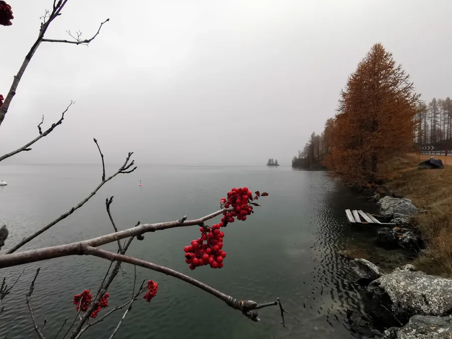 Switzerland snapshot 060