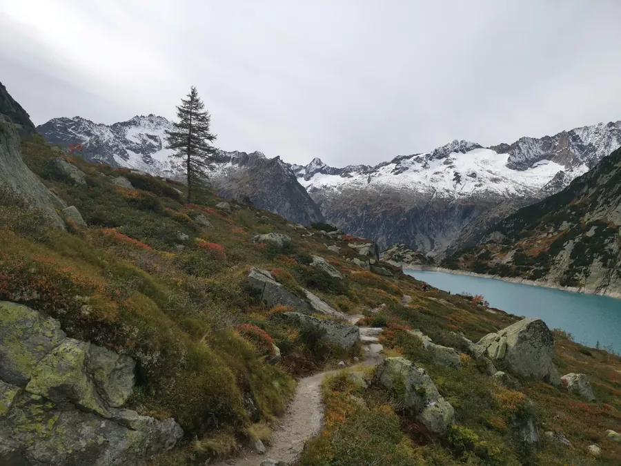 Switzerland snapshot 053