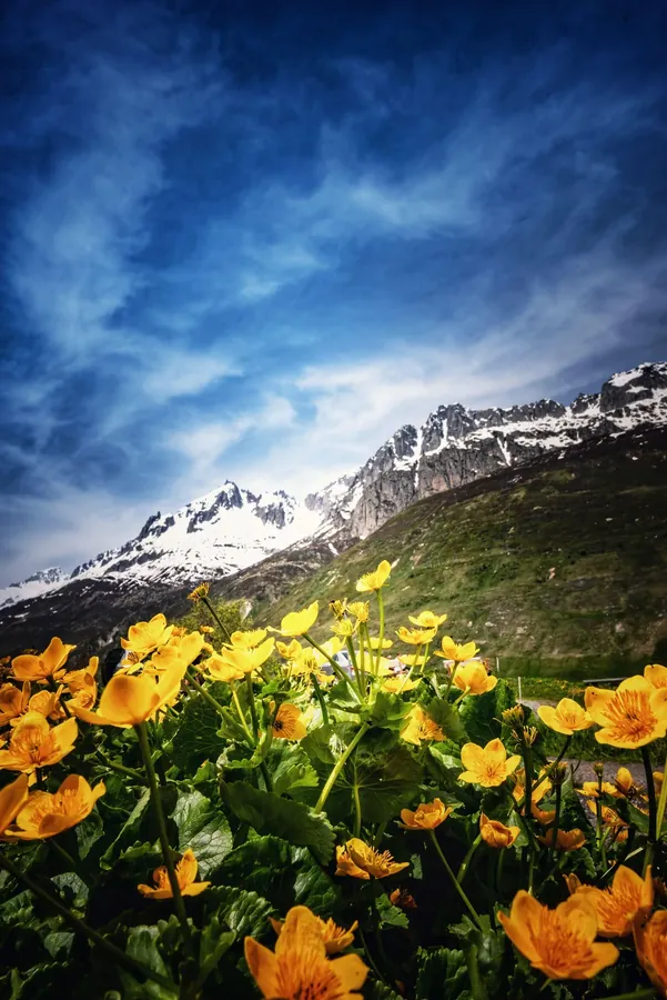 Switzerland snapshot 028