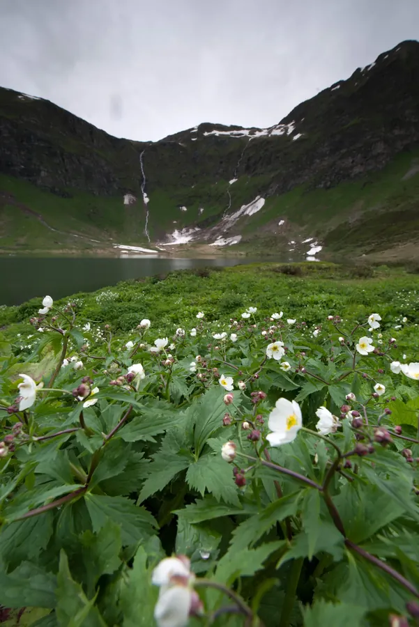 Switzerland snapshot 025
