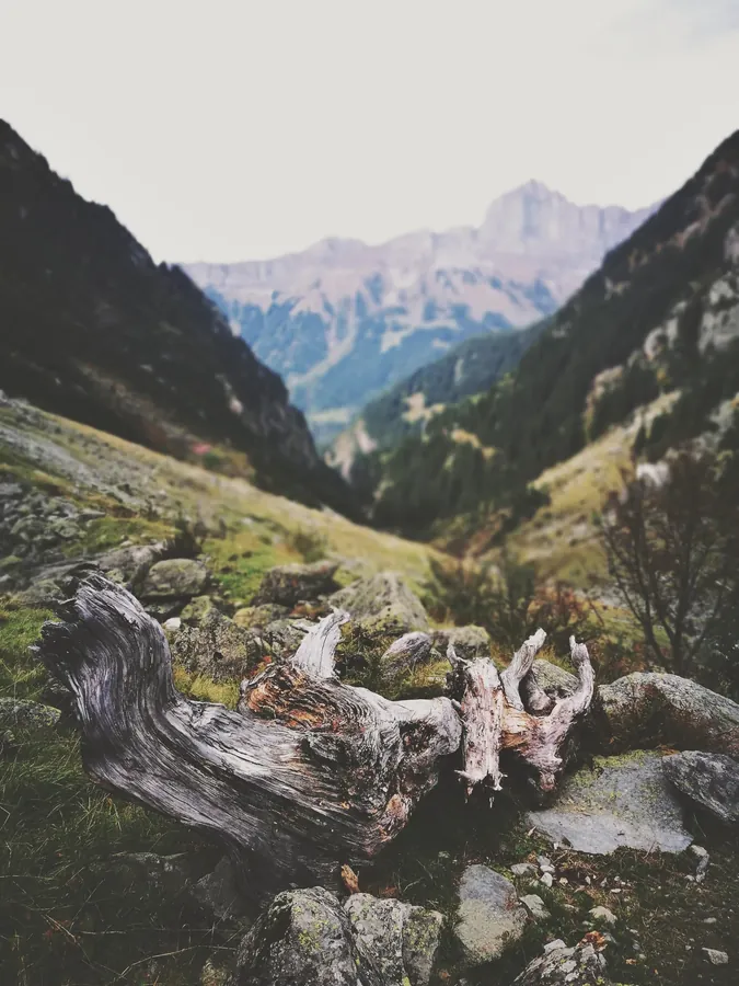 Switzerland snapshot 008