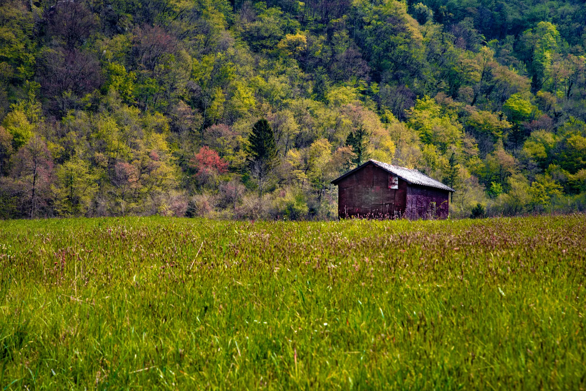 Travel photo 088