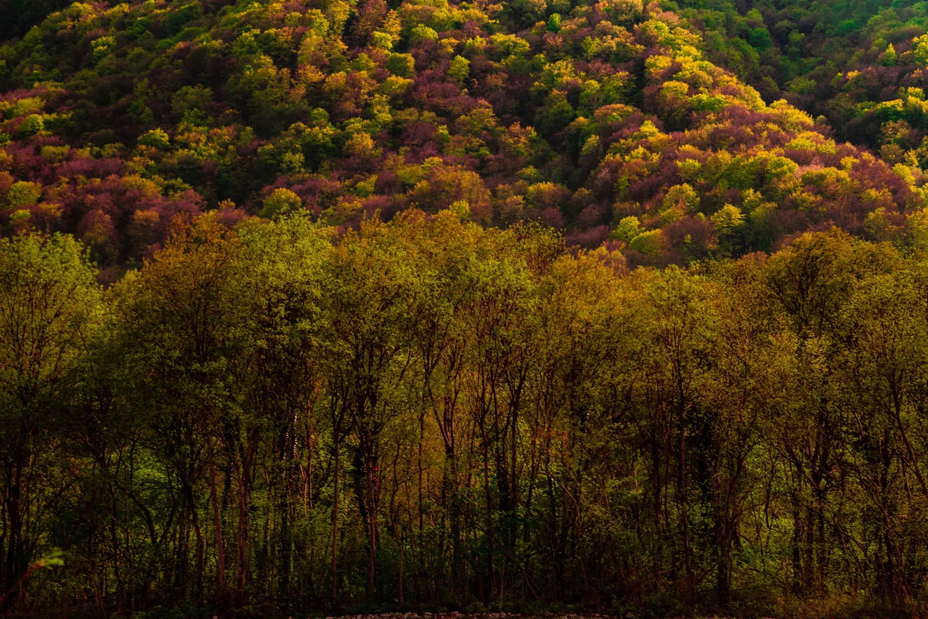 Travel photo 087