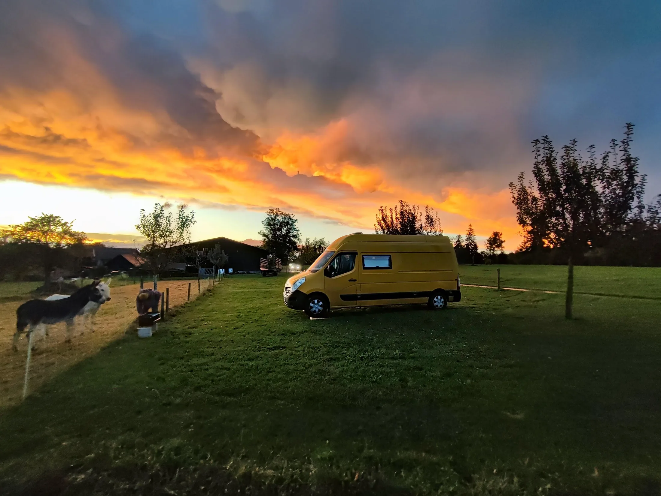 Renault Master photograph 42